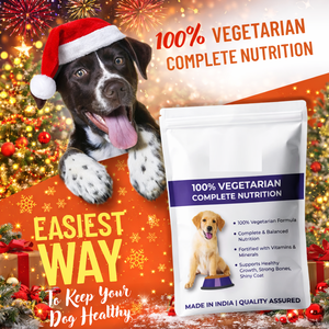 Alimento Seco para Perros de Alta Proteína de Marca Privada, Sin Granos, Nutrición Diaria Completa para Todas las Razas, Suministro de Fábrica OEM - Product Image 6