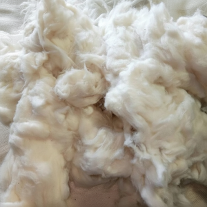 Fibra de Residuos Textiles Reciclados de Alta Calidad, 100% Algodón Blanco Blanqueado, Grado Médico, con Alta Absorción de Agua - Florence - Product Image 6