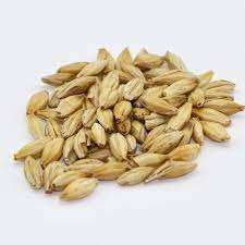 Grano de Cebada Seco Orgánico de la Mejor Calidad para Malta - Grado Superior 100% Puro Origen Bélgica 25kg/50kg - Product Image 5