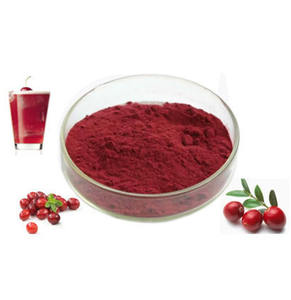 Polvo de Arándano Rojo, Extracto de Planta, Vegetales Secos Saludables, Polvo de Fruta de Arándano Rojo - Product Image 1
