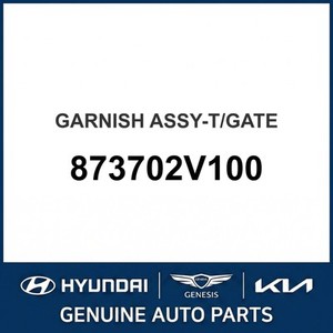 Molduras y Adornos para Carrocería de Veloster Nuevos 873702V100 - Product Image 1