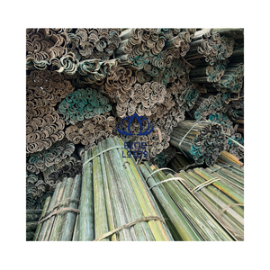 PRECIO IMPERDIBLE: MÁS VENDIDO - MÉS PALAÑAS DE BAMBÚ CON MENOS NÓDULOS Y SUPERFICIE LISA - Product Image 5