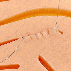Kit de sutura para estudiantes de medicina de acero inoxidable, instrumentos de entrenamiento de Cirugía de anatomía, instrumentos médicos de alta calidad - Product Image 3