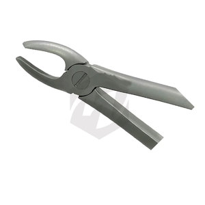 Pinzas de Extracción Dental de Acero Inoxidable de Alta Calidad con Certificación CE, Garantía de 5 Años, Manuales, MI-Extracting Forceps, Cirugía Oral - Product Image 6