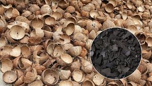 Charbon de coco de haute qualité provenant d'un fournisseur vietnamien pour les industries du carburant et de la transformation. - Product Image 3