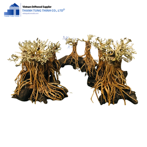 Nuevo artículo: Madera flotante para reptiles, ramas de madera flotante para paisajismo de acuarios, decoración de peceras de madera de Vietnam para mayoristas. - Product Image 6