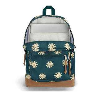 Bolsas Escolares de Último Diseño en Oferta, Precio Razonable al por Mayor, Impermeables, Ecológicas, de Poliéster/Nailon de Alta Calidad para Unisex - Product Image 4