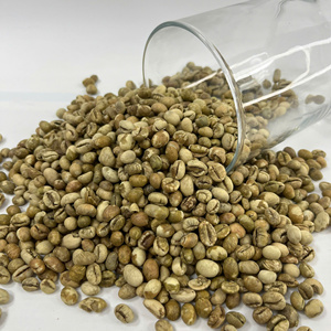 Wholesale Culi Green <b>Coffee</b> Beans Vietnam Origin Rich Aroma Strong Body Bulk Export for Roasters and <b>Distributors</b> - Product Image 5