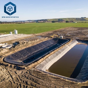 Membrana Impermeabilizante de HDPE de Excelente Impermeabilidad, Geomembrana de HDPE de 2 mm para Contención de Estanques de Residuos - Product Image 4