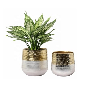 Ensemble de 2 jardinières pour pot de fleurs de style moderne pour décoration de centre de table de salon pour l'extérieur et l'intérieur Pot rond en métal pour la décoration d'intérieur - Product Image 2