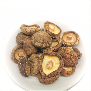 Prix de gros des champignons séchés en cubes/en morceaux/en tranches - Product Image 1