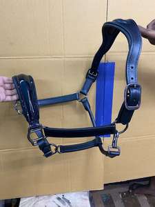 Équipement équestre de haute qualité en cuir de vache souple teint en tambour, pour écurie : Licol, têtière et selle australienne - Product Image 5