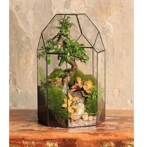 Boîte à bijoux élégante rectangulaire en laiton et verre avec cadre doré et couvercle transparent pour le rangement et la présentation, organiseur de bijoux, boîte en verre - Product Image 6