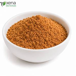 Fabricante de Extracto de Especias Premium, Extracto de Semillas de Myristica Fragrans en Polvo, Ingrediente Botánico Natural para Alimentos y Bienestar - Product Image 1