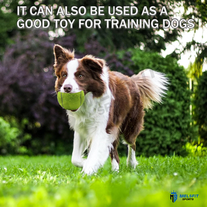 Balle de tennis professionnelle pressurisée, écologique, rebond élevé, personnalisable pour l'entraînement et les matchs - Product Image 4