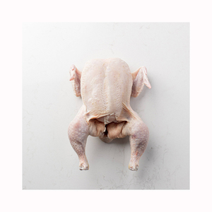 ไก่แช่แข็งฮาลาลทั้งตัว ลดราคาพิเศษ - Product Image 6