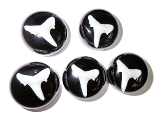 Dents de requin artificielles modernes en plastique cabochon rondes 25x25 mm noires à fond plat pour l'artisanat et la fabrication de bijoux - Product Image 6