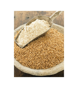 Nouvel Arrivage – Vente en Gros de Grains de Blé Tendres de Qualité Supérieure, Prêts à l'Expédition, Meilleures Ventes à l'Exportation - Product Image 6
