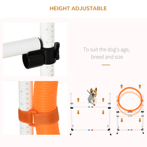Ensemble de huit cônes d'agilité pour l'entraînement des chiens - Product Image 6