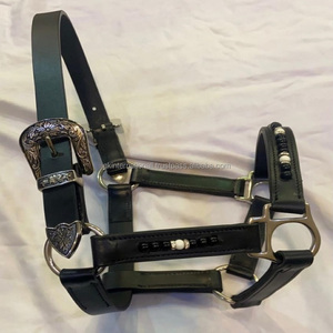 <b>Top</b> Trending <b>Leather</b> Horse <b>Halter</b> With Multicolor Beads & Crystals Work Customized Horse Products <b>Leather</b> Horse <b>Halter</b> All Sizes - Product Image 6