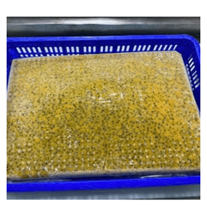 Puré de maracuyá con semillas congelado IQF, elaborado con pulpa fresca de maracuyá para cócteles, bebidas tropicales y postres. - Product Image 2