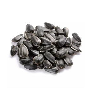 Graines de tournesol de qualité supérieure en gros à prix avantageux, non-OGM, biologiques, nourriture pour oiseaux, graines de tournesol noires - Product Image 2