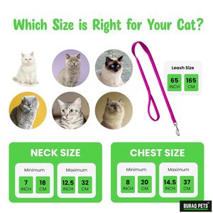 Plain Cat <b>Harness</b> Body Set OEM ODM Custom Logo Adjustable Cat <b>Harness</b> & Leash Set Direct Manufacturer - Product Image 3