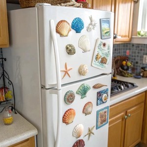 Décoration de maison de plage, vente en gros d'aimants de réfrigérateur en coquillages, aimants de réfrigérateur personnalisés avec logo - Product Image 5