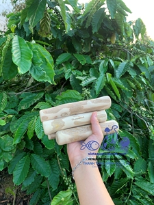 Jouets à mâcher en bois naturel de qualité supérieure pour chiens, plusieurs tailles, durables, écologiques, fournitures pour animaux de compagnie d'intérieur, fabriqués au Vietnam - Product Image 5