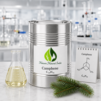 Huile Essentielle de Camphène Naturel d'Inde de Qualité Industrielle, 100% Pure, Distillée à la Vapeur, Arôme Boisé de Pin
