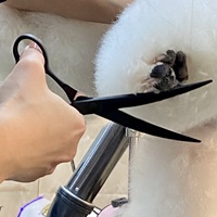 Set Gunting Hewan Peliharaan Profesional 7'' Lengkung dari Baja Anti Karat Jepang, Perlengkapan Perawatan yang Praktis, Kit Pencukur Bulu Anjing dan Kucing