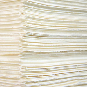 Fabrication de pâte à papier longue fibreuse vierge blanchie à base de bois tendres, matière première pour l'industrie papetière - Product Image 1