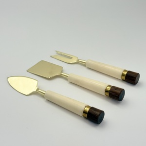 Ensemble de couteaux à fromage en acier inoxydable avec manche en résine, design tendance, fabriqué par R B Overseas, qualité et longévité exceptionnelles - Product Image 6