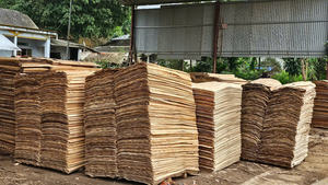 Chapa de Madera Dura Cortada Rotacionalmente para la Producción de Contrachapado - Product Image 6