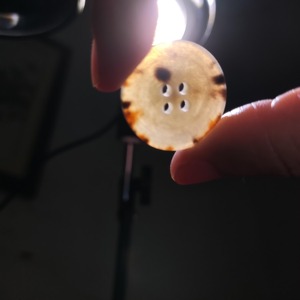 Boutons en corne de buffle naturelle finis, accessoires vestimentaires naturels de haute qualité pour chemises et vestes - Product Image 4