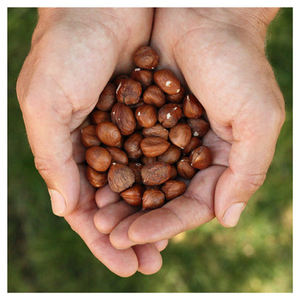 Nueces de Avellana Blanqueadas de Calidad y Sabor Natural a Bajo Precio - Product Image 4