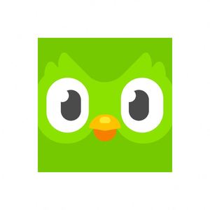 Cuenta Global de Duolingo, Duolingo Premium, Duolingo Super, 1 Año, 1, 3, 6, 12 Meses, Vincula tu Cuenta - Product Image 1