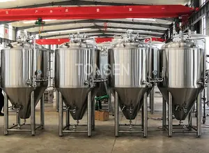 Equipo de fermentación usado para cerveza artesanal <span class=keywords><strong>600l</strong></span> - Product Image 5