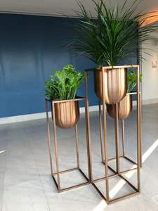 Support de plante en métal Casa De Amor pour salon, grand support à plantes pour escalier, grande étagère pour jardin domestique, noir - Product Image 5