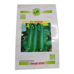 Sponge Gourd Seeds High-Yield Ready for Farming - Product Image 6