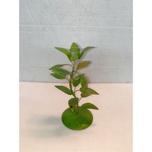 Wholesale Metal Flower Taper Candle Holder Green <b>Leaf</b> Candlestick Stand Wedding Table Centerpiece Home Decorative Taper Holder - Product Image 1