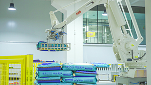 Alimentation pour poissons <span class=keywords><strong>Koi</strong></span> : Colorant et <span class=keywords><strong>croissance</strong></span> premium pour carpes bébés, nourriture pour poissons <span class=keywords><strong>Koi</strong></span> (aliment) 10KG Taille L Germe de blé - Product Image 6