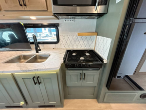 Nexus RV Triumph 31T d'occasion 2025 - Product Image 6