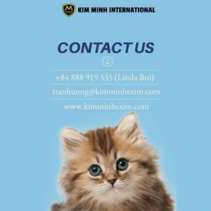 Hueso de Sepia Seco de Alta Calidad - Calcio Natural para Aves, Mascotas y Alimento Animal - Product Image 4