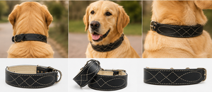 Collier de luxe en cuir pour chien avec surpiqûres décoratives, personnalisation de marque, commande en gros de Divine International - Product Image 3