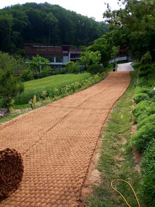 Alfombra de Fibra de Coco Natural, Rollo de Cuerda de Coco, Precio de Fábrica en Vietnam, Biodegradable, Grosor de 5 mm, 10 m/Rollo, para Microgreens - Product Image 6