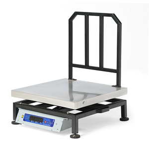 Báscula de Plataforma de Acero Inoxidable de Alta Resistencia de 600x600 mm con Capacidad de 200 kg a Precio de Mercado Nominal - Product Image 1