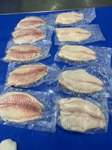 Filete de Tilapia Congelado al Vacío VH Food, Bajo en Grasa y Sal, Calidad Seleccionada, Sabor Suave, Textura Firme, Vietnam, Tamaños Personalizados - Product Image 3