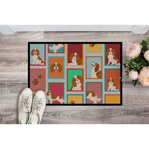 Paillasson Blenheim Cavalier Spaniel Tapis d'entrée intérieur/extérieur antidérapant à poils bas 24H X 36W Tapis de porte avant lavable - Product Image 2