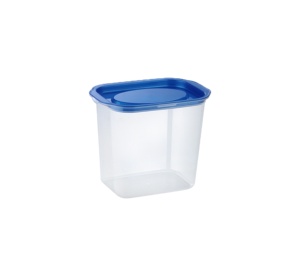2023 haute qualité PP matériel petit rectangulaire conteneur en plastique boîte Design moderne boîtes de rangement bacs exportés inde pas cher - Product Image 1